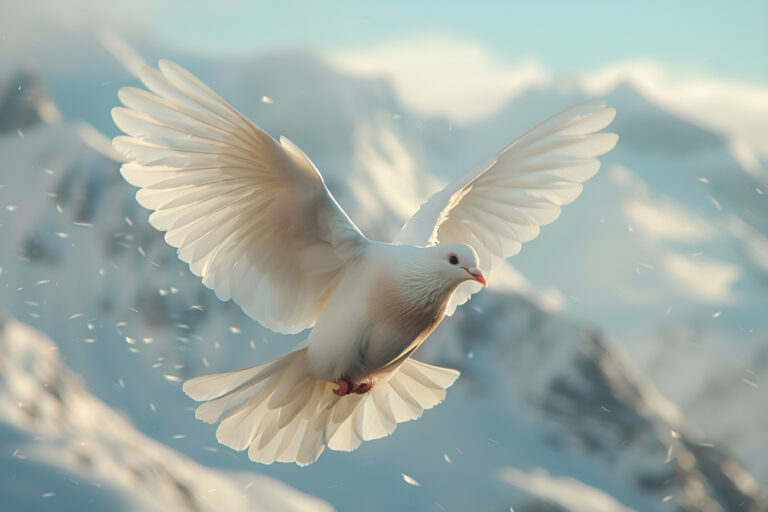 🕊️ When the Dove Finds You: A Reflection on Healing into Divine Power